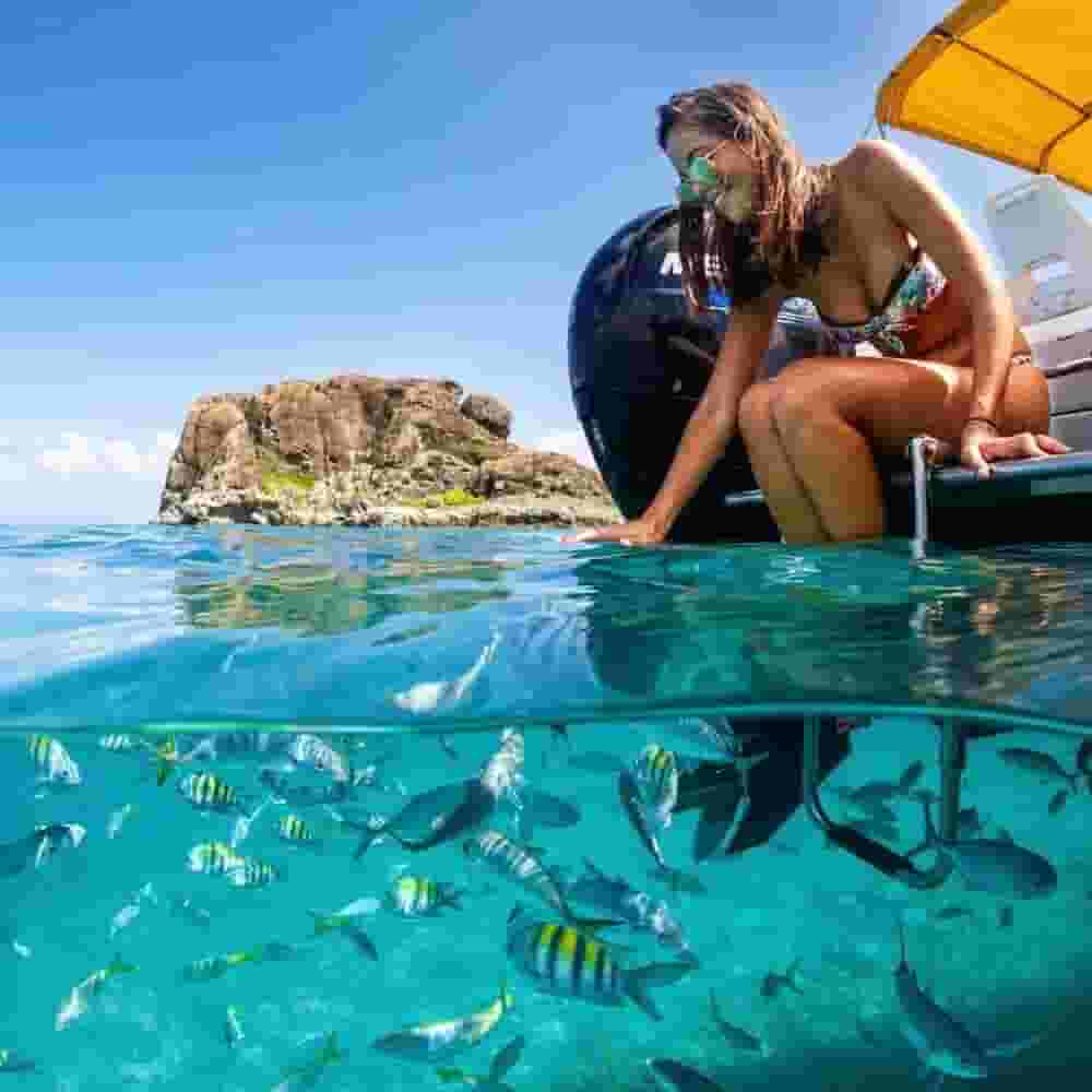 Snorkeling at Creole Rock